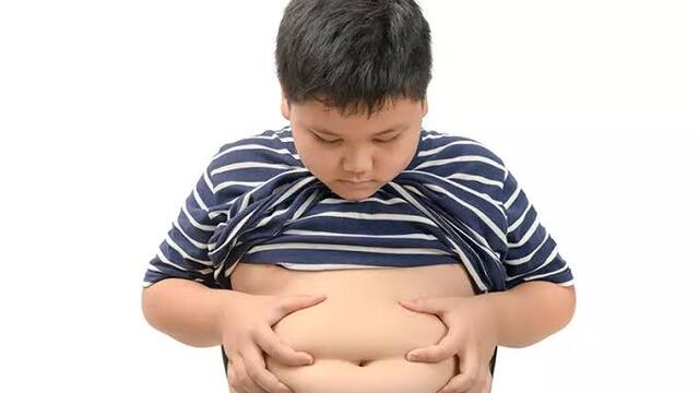 Pengaruh Obesitas terhadap Perkembangan Siswa Sekolah Dasar